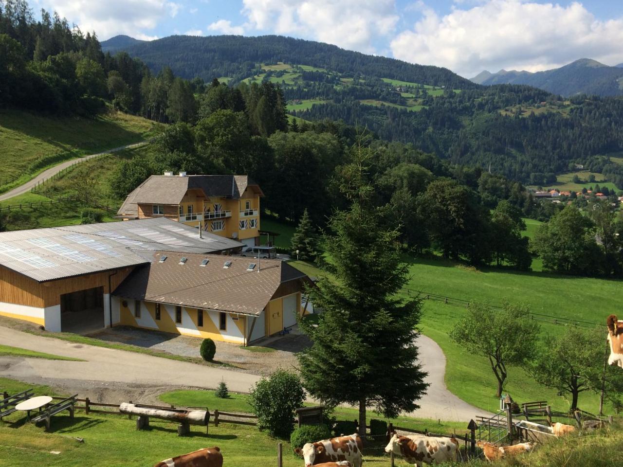 Appart Sölkhof Schöder Extérieur photo